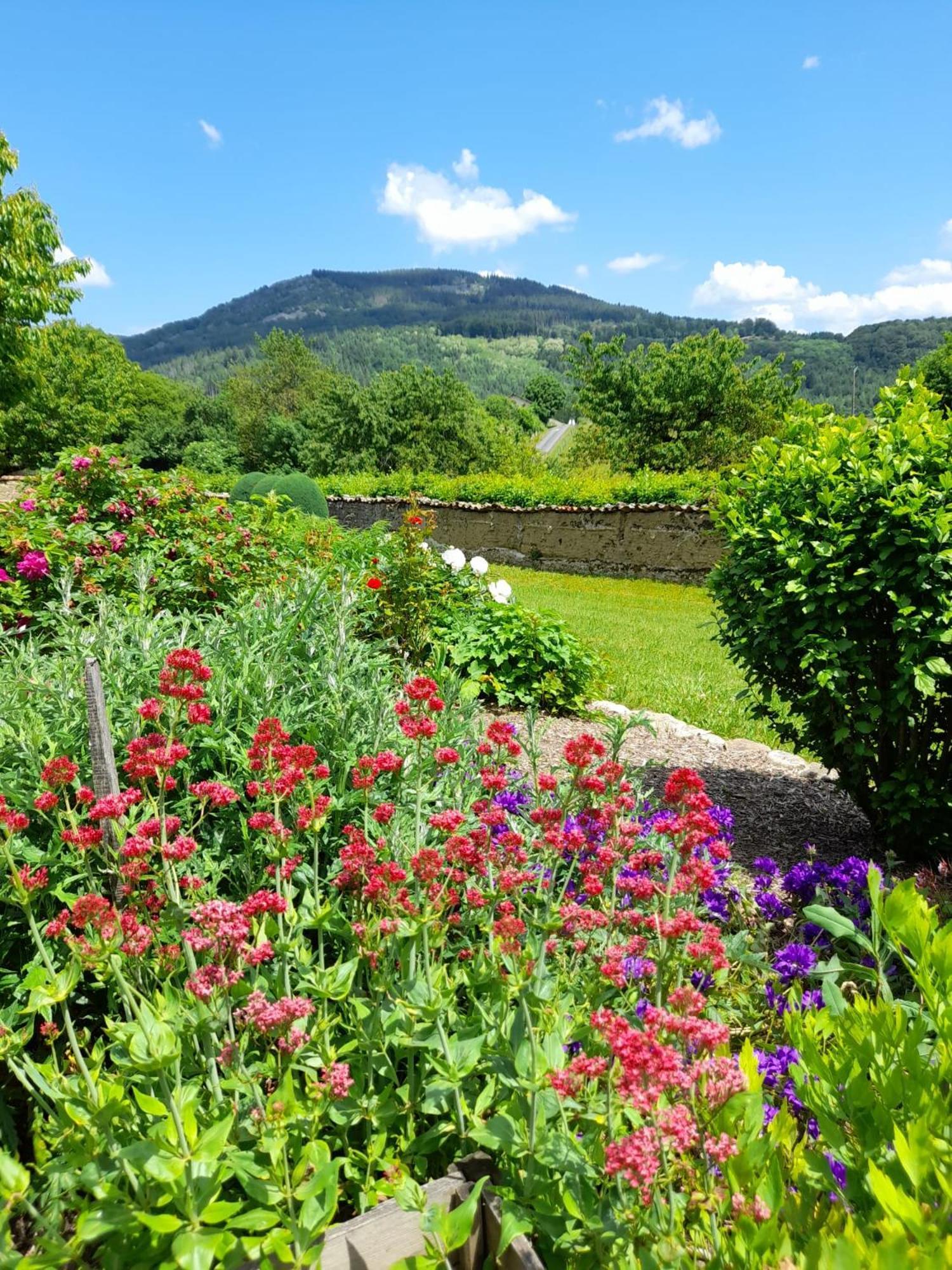 Le Jardin De Chignore Vollore-Ville Kültér fotó
